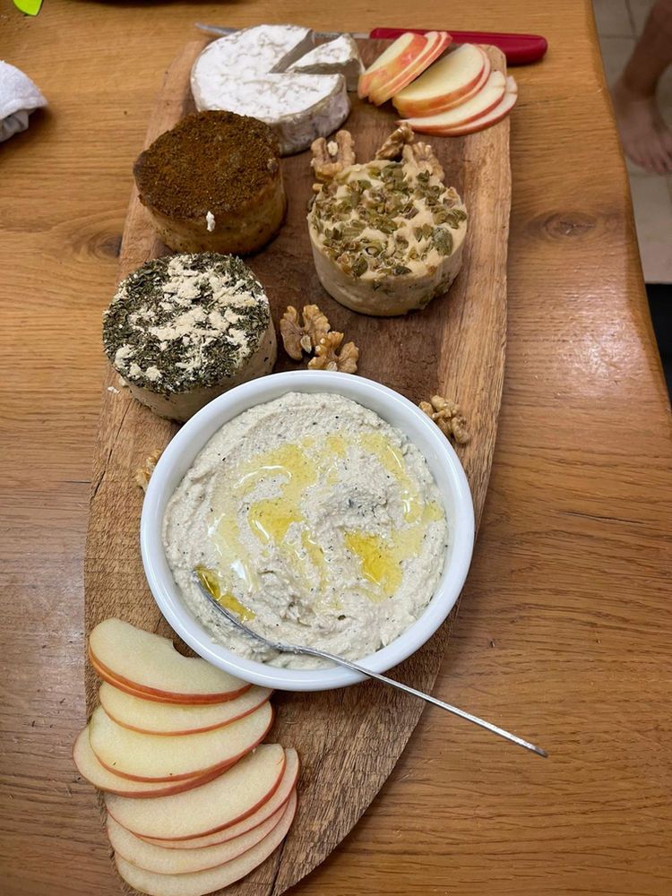 גבינות טבעוניות שהכינו בוגרי הסדנה